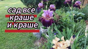 Сад все краше и краше. К нам в гости пришла белка. 12.06.2026