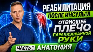 РЕАБИЛИТАЦИЯ ПОСЛЕ ИНСУЛЬТА. ВОССТАНОВЛНЕНИЕ ПАРАЛИЗОВАННОЙ РУКИ. ОТВИСШЕЕ ПЛЕЧО, КАК ИСПРАВИТЬ.