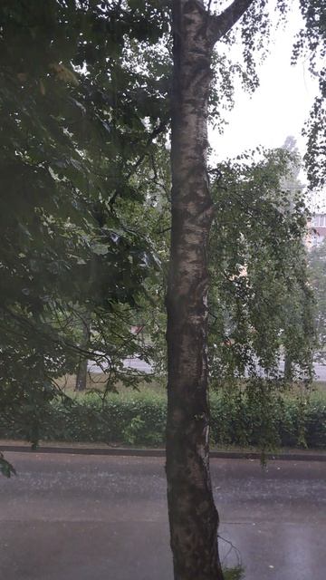 🌧️ 💃⛈️💃🌧️