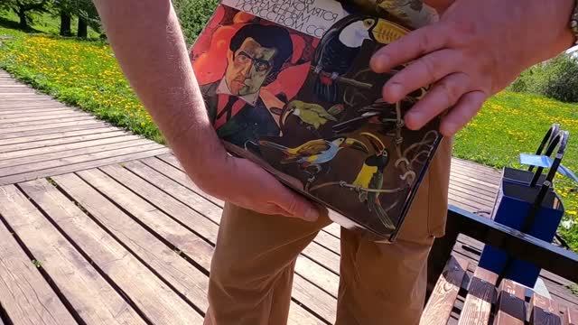 Золотая муха. 2 серия. Мечтательная