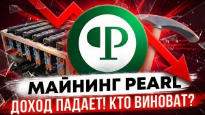 Доходность майнинга Pearl падает! Кто виноват? Блогеры или майнеры?