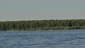 Середина июня. Жизнь на даче. Вот это рыбка!
