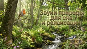 Звуки природы, пение птиц - для сна и релаксации