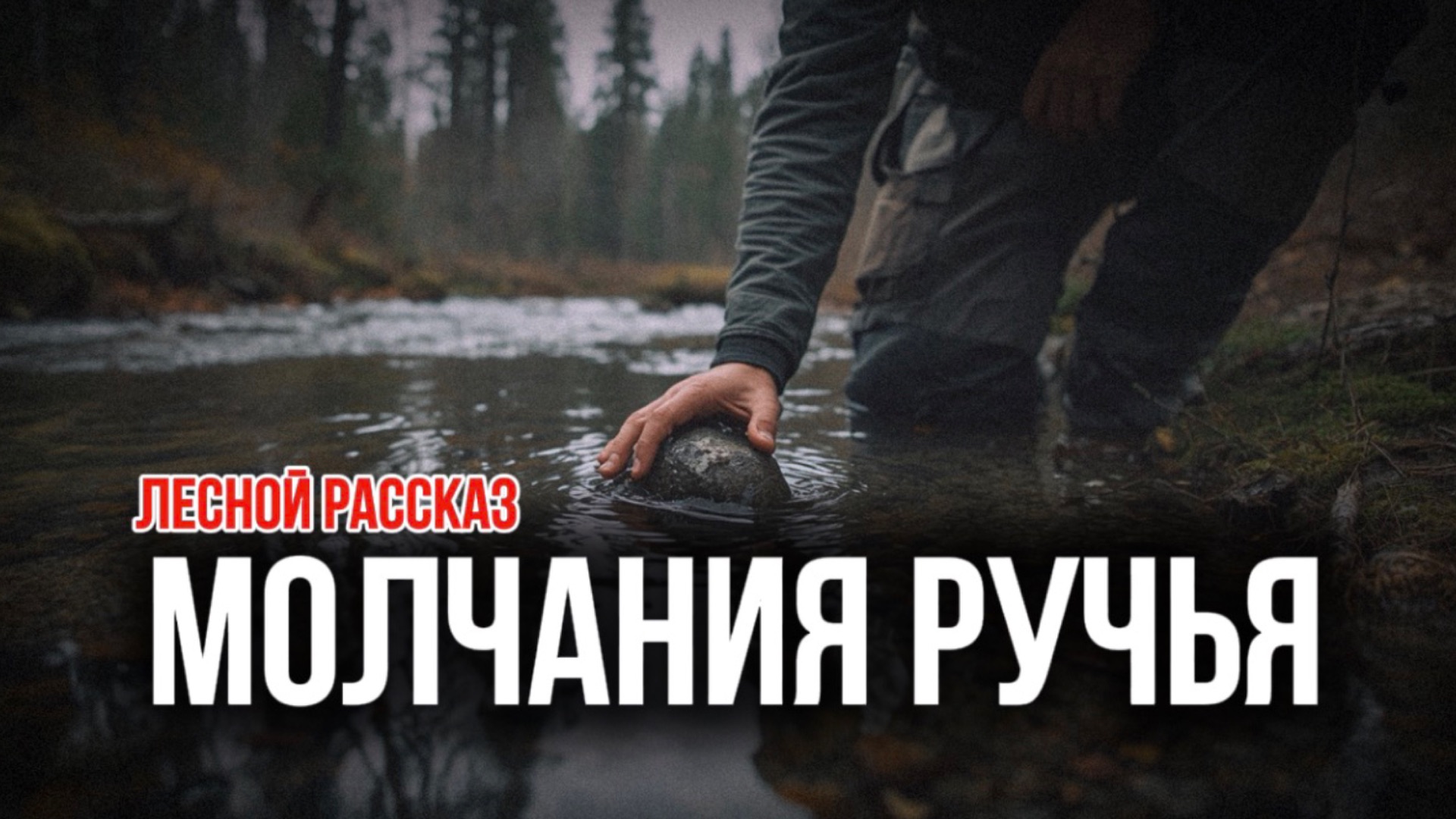 РУЧЕЙ | лесной рассказ