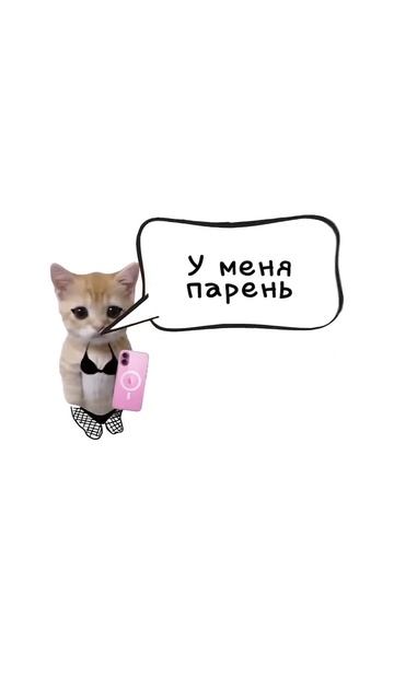 #котятапояснят котята пояснят