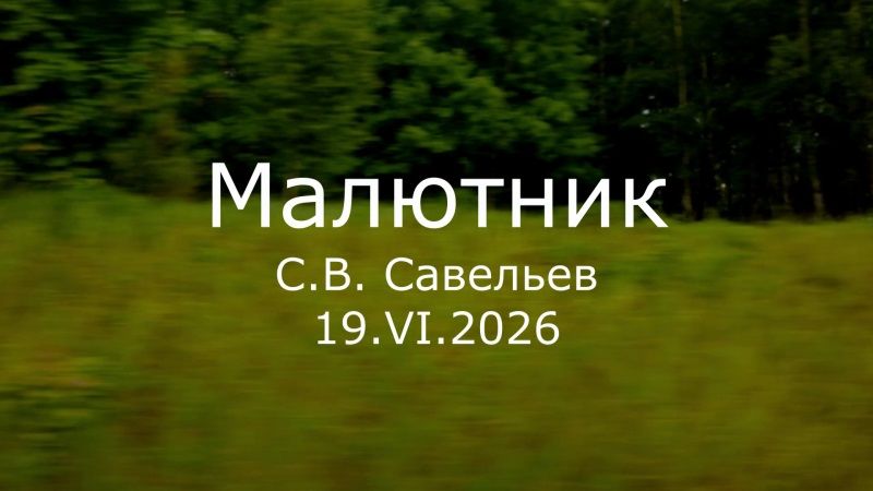 С.В. Савельев - Малютник смотреть онлайн