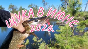 Щука в июне на Спиннинг .Озерная рыбалка.