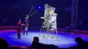 Цирк-шапито в парке «Сокольники» | БЕЛЫЙ ЛЕВ!