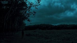A Reason For Calm - Peace In Silence ｜ Dark Ambient Music for Those Who Stay Awake & Tired Souls.