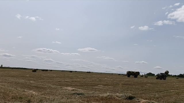 Сенокос 2023
