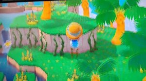 Три секретных места с красивым видом на пляж | ANIMAL CROSSING NEW HORIZONS