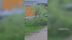 Новости Кирова 04.06.26