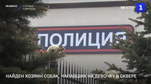 Найден хозяин собак, напавших на девочку в сквере