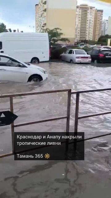 Краснодар и Анапу накрыли тропические ливни  Тамань 365 🔆 / Новости Юга России