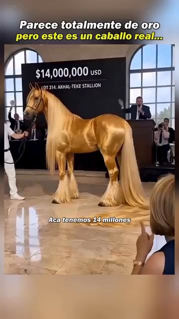 El Caballo Mas Caro De La Historia