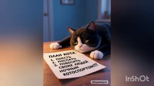 ДОБРОЙ НОЧИ, ДРУЗЬЯ! 😺❤