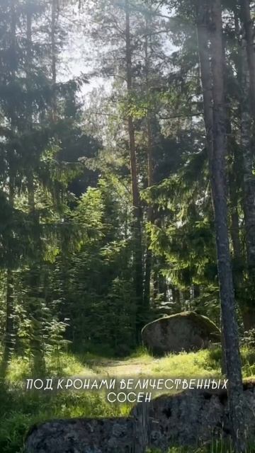 Удивительные заброшки смотреть онлайн
