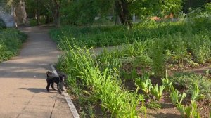 Встретила мужа. Забрала новые реснички.