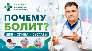 Как сохранить здоровье шеи, спины и суставов | Доктор Анатолий Шишонин