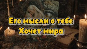 Мысли о тебе. Хочет мира...