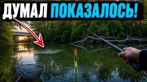 ЗАКУТОК У МОСТА ШОКИРУЕТ! Закинул поплавок в ПРОТОКУ и ОНО влупило! Рыбалка 2026