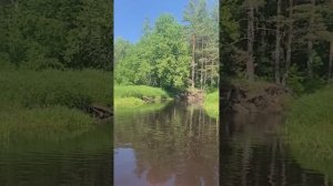 На SUP по реке Нерская в Московской области