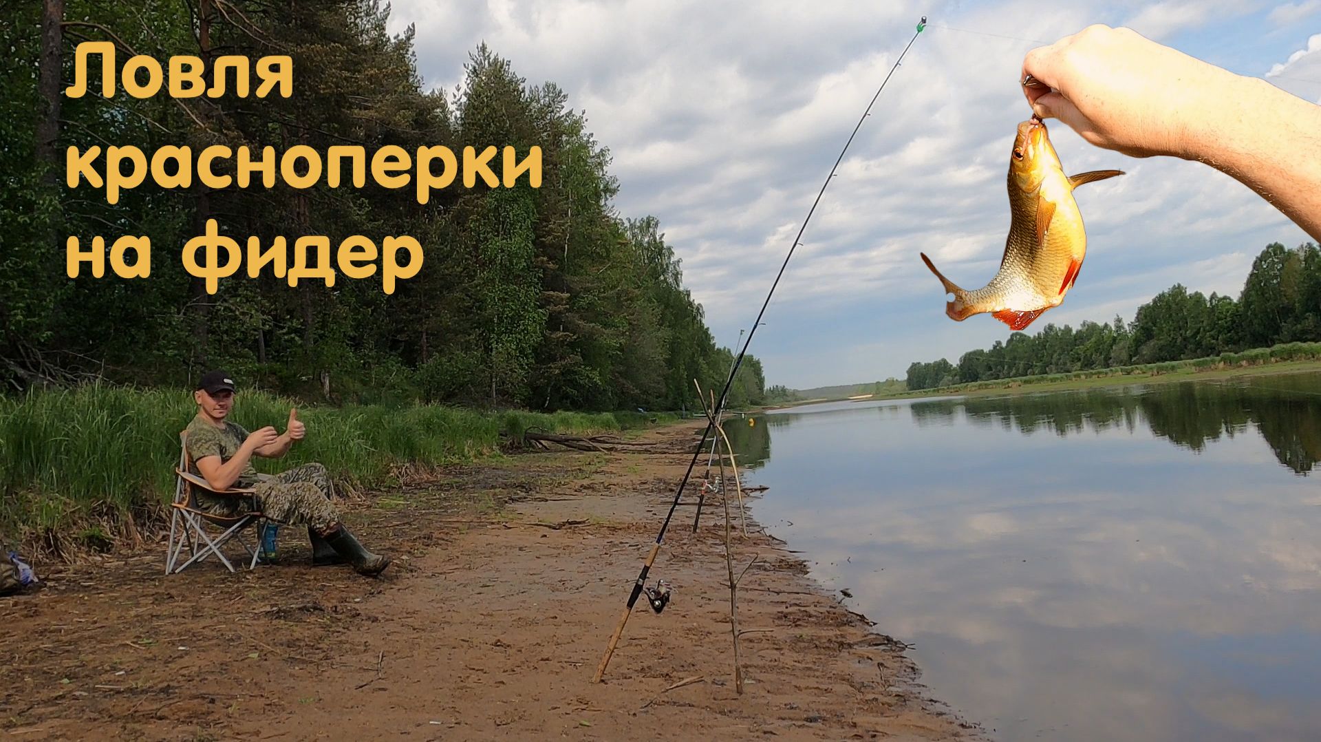 Рыбалка на фидер. Наловил красноперки. Рецепт яичницы на костре. Птенцы чайки.