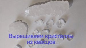 Выращиваем кристаллы из квасцов.