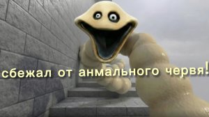 ЗАБРАЛСЯ НА БАШНЮ И СБЕЖАЛ ОТ АНМАЛЬНОГО ЧЕРВЯ в роблкос!!!!