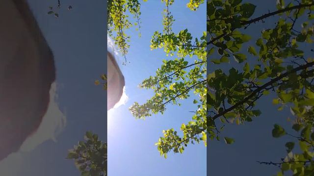 мы на Улице