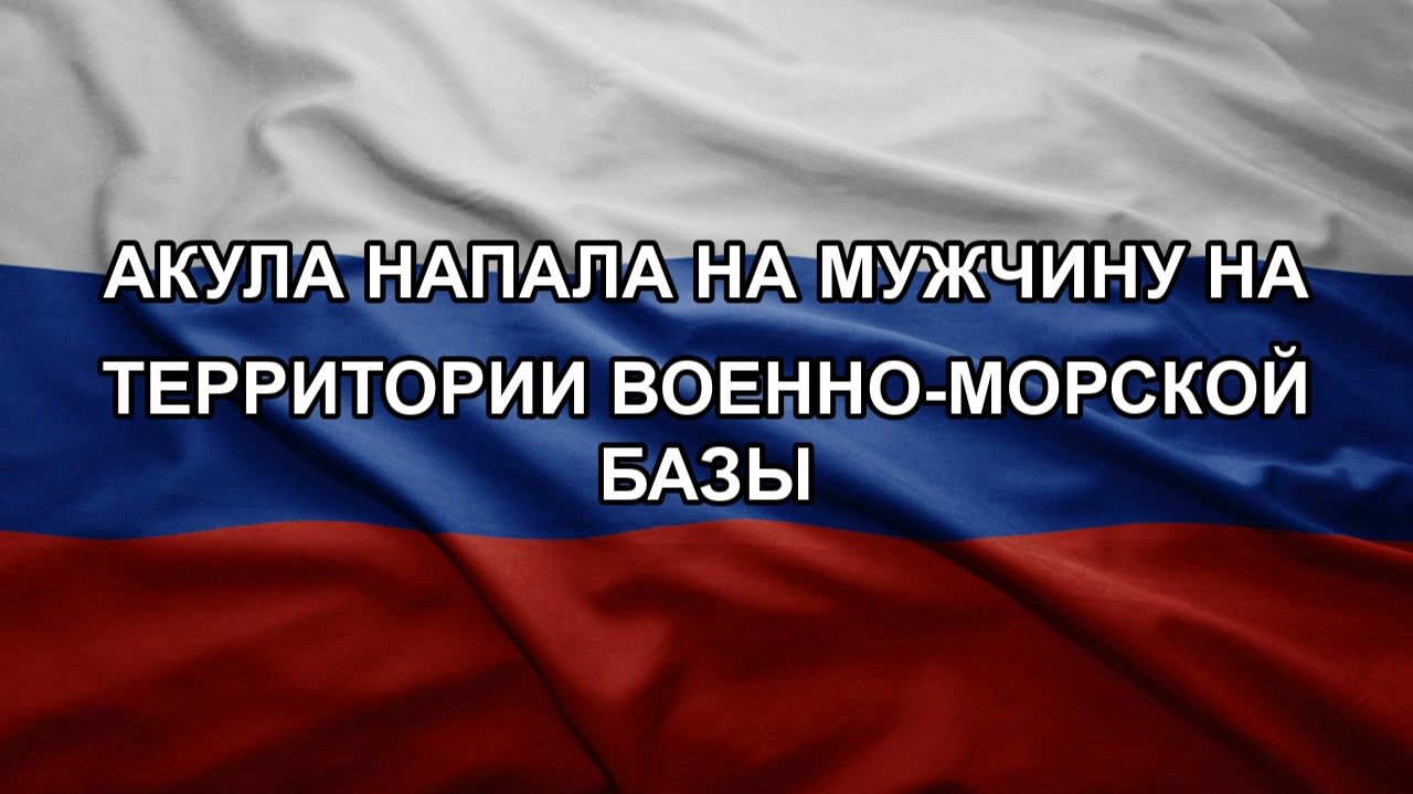Акула напала на мужчину на территории военно-морской базы