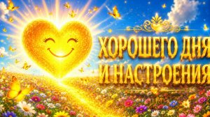 Доброе Летнее Утро ☀️ Хорошего Дня и Настроения