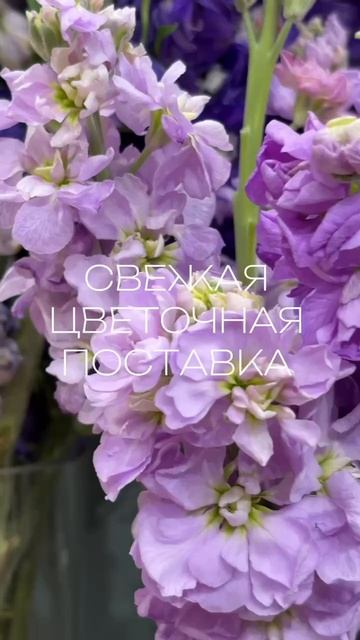 Вау 😍😍😍