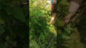 деревня,