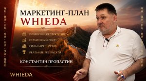 МАРКЕТИНГ-ПЛАН WHIEDA || КОНСТАНТИН ПРОПАСТИН
