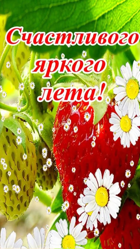 С Добрым летним утром! Доброе утро! Красивая музыкальная открытка.