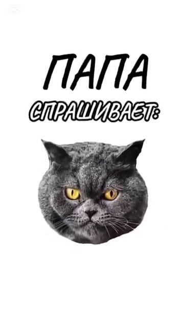 как устроила семья?!... смотреть онлайн