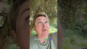 Фейхоа — скрытая роскошь для кожи и нервной системы. Психология ароматов #ароматерапия  #ириналита