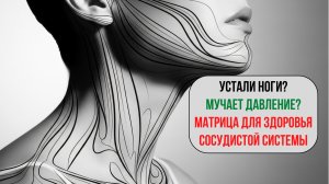 Матрица «Сосуды Всего Тела» — оригинал 2026! Полная перезагрузка сердца и сосудов 💗🩸