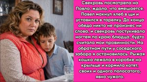 Истории из жизни|Приблудный|Аудио рассказы|Аудиокниги слушать онлайн|Жизненные истории