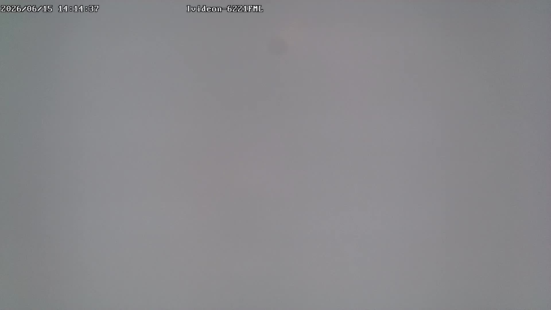 LIVE: Channel43489494