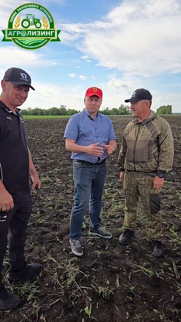 Отзыв о новом лущильнике у руководителя СХП 