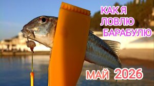 Ловля барабули на ультралайт: нашёл приманку, от которой она не отказывается! Сухой червь оказался..