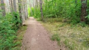 Лето 15.06.26
