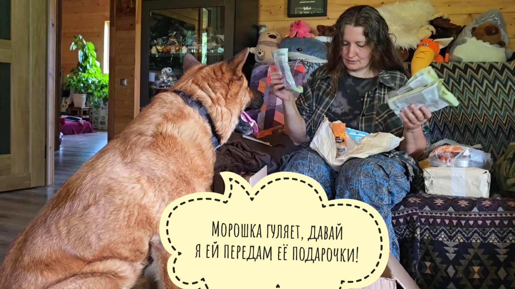 Пёс Кубик пришёл на распаковку подарочков от подписчиков. Кошка Морошка всё прогуляла сама по себе