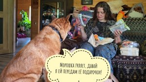 Пёс Кубик пришёл на распаковку подарочков от подписчиков. Кошка Морошка всё прогуляла сама по себе