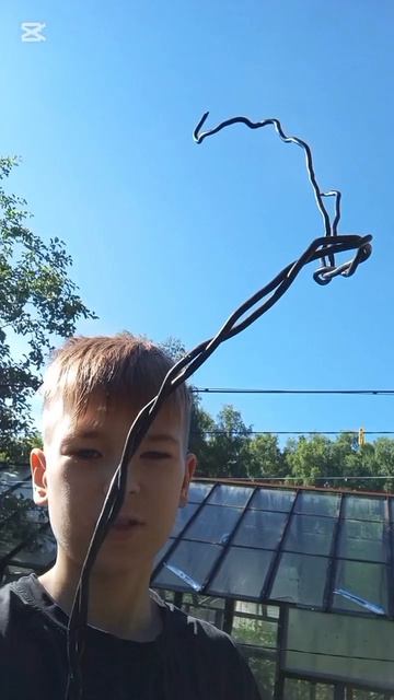 Пионы