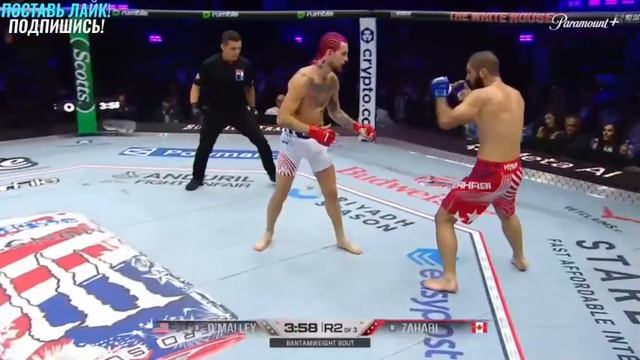 480p_Шон_О_Мэлли_vs_Айеман_Захаби_Полный_Бой смотреть онлайн
