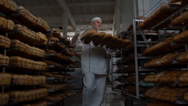 Компания СИТНО смотреть онлайн
