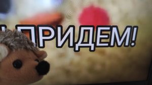 Ёжик случайно заснял взлом канала Чересель